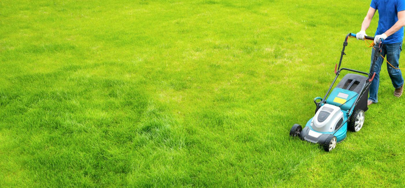 top rated landscape companies near me