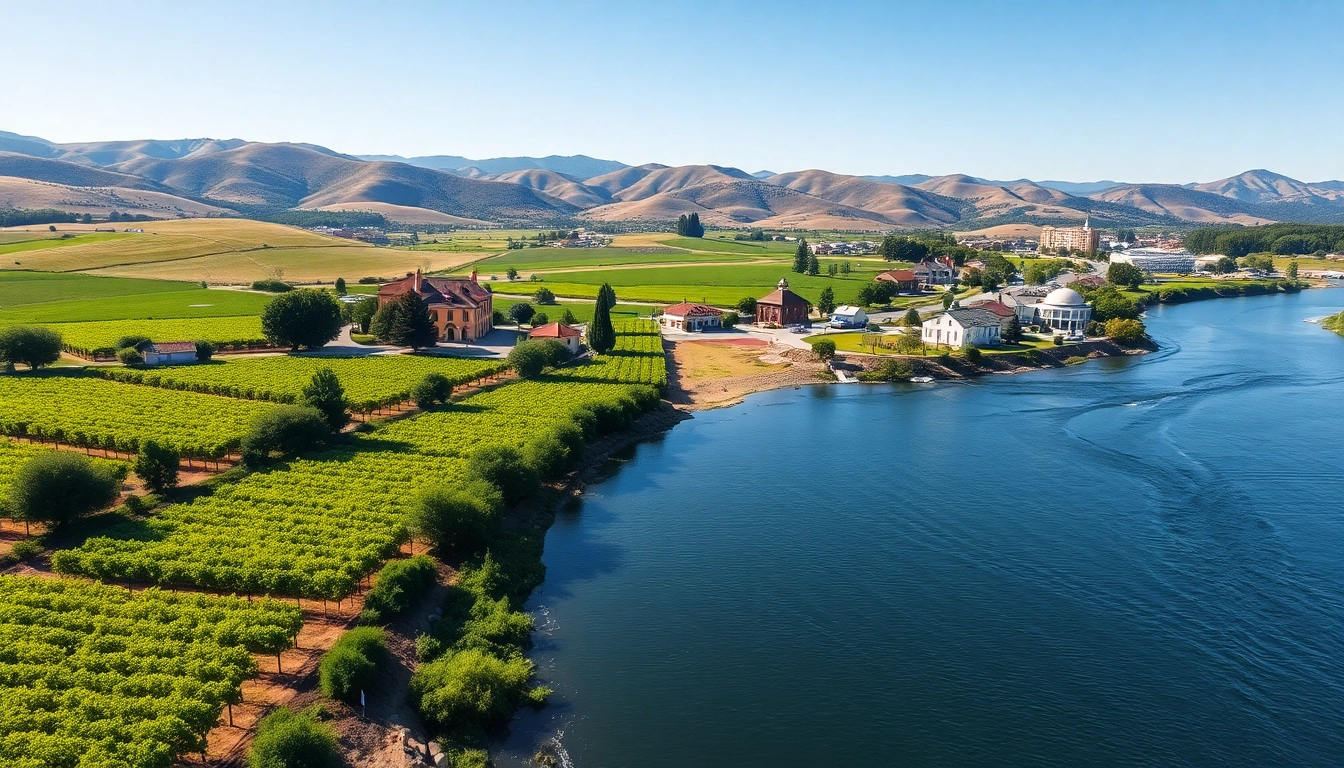 Explore the scenic vineyards and landscape of Carksburg ca in this captivating aerial view.
